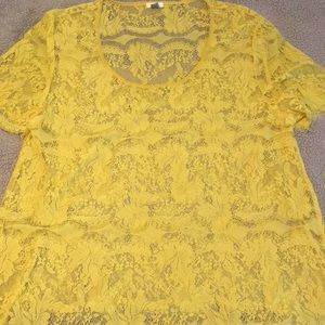 Beautiful delicate lace shirt.